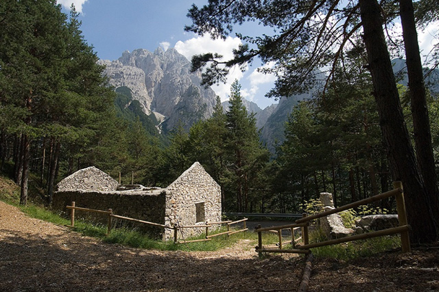 Il fitosauro ai piedi delle Alpi Giulie