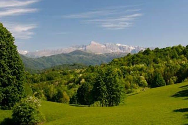 Escursione naturalistica lungo i prati di Tribil e Jainich