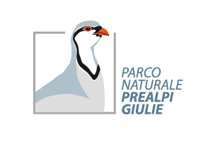 31_ENTE_PARCO_NATURALE_DELLE_PREALPI_GIULIE