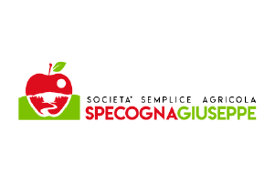 48_SOCIETA_SEMPLICE_AGRICOLA_SPECOGNA
